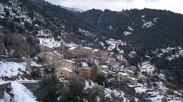 Photo de Cargiaca