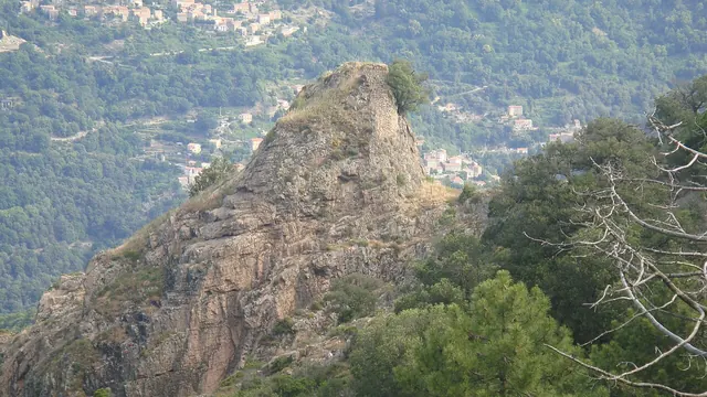 Photo de Letia