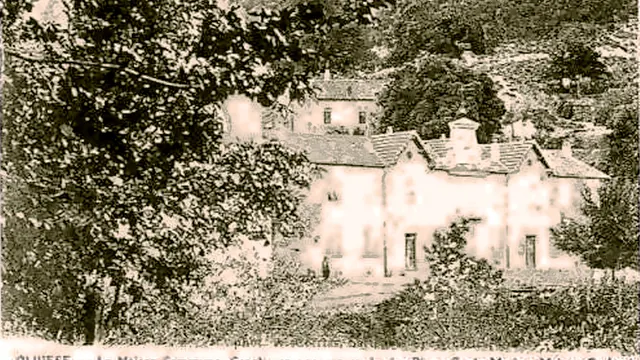 Photo de Olivese