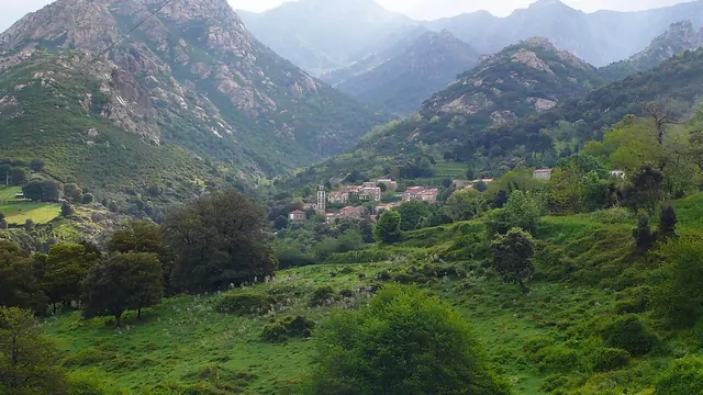 Photo de Peri