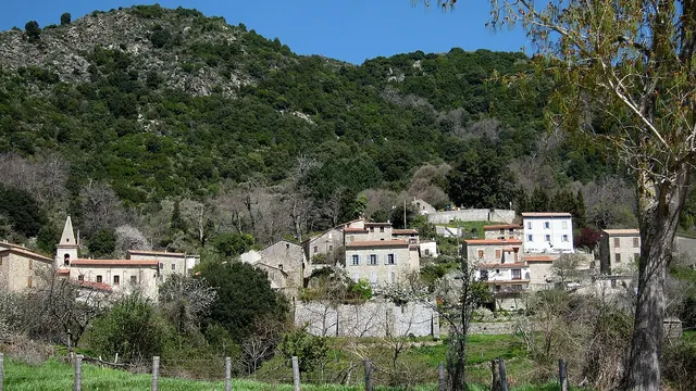 Photo de Tolla