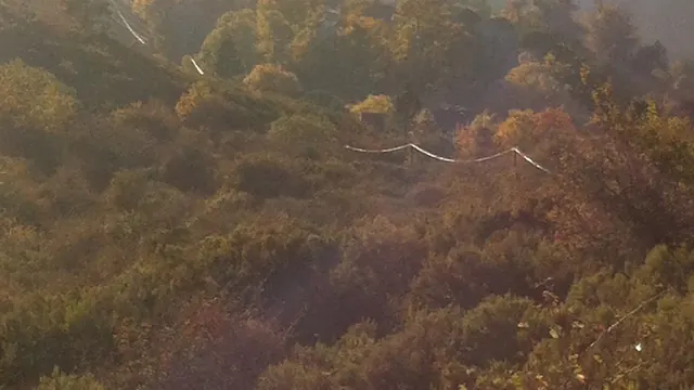 Photo de Zérubia