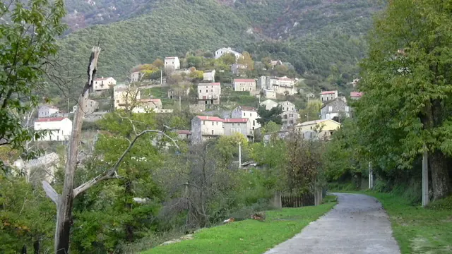 Photo de Zoza