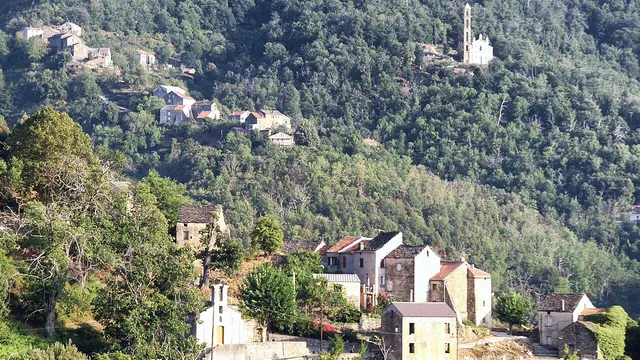 Photo de Alzi