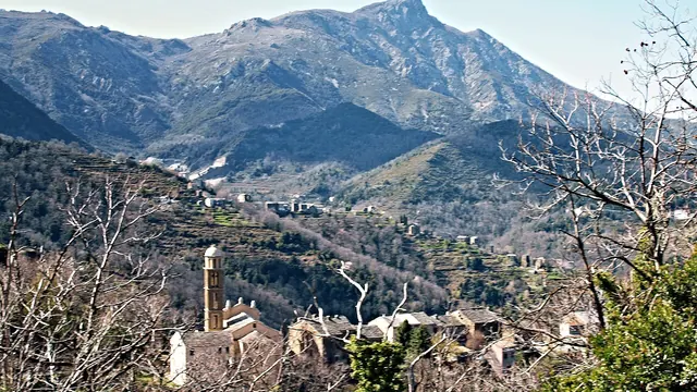 Photo de Carpineto