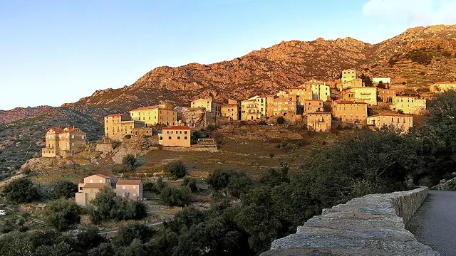 Photo de Lama