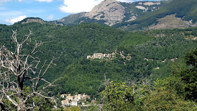 Photo de Mazzola