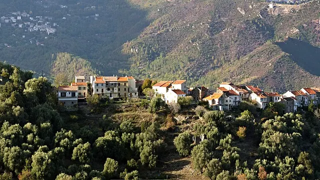Photo de Noceta