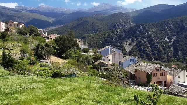 Photo de Olmeta-di-Capocorso