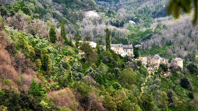 Photo de Poggio-Marinaccio