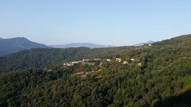 Photo de Porri