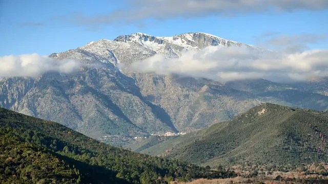 Photo de Venaco