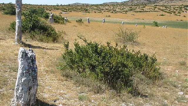 Photo de Blandas