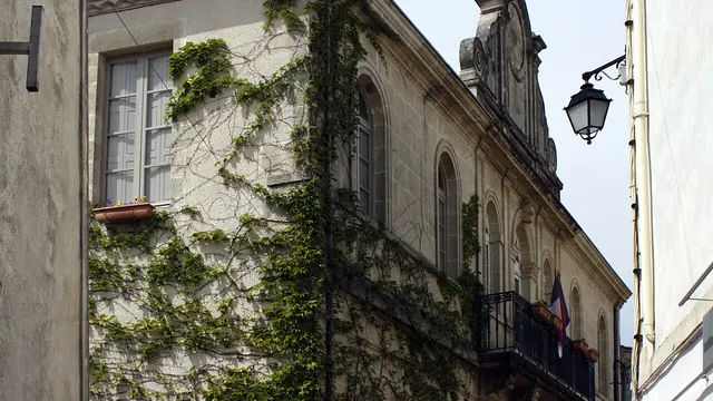 Photo de Calvisson