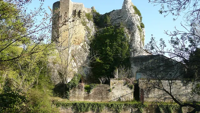 Photo de Roquemaure