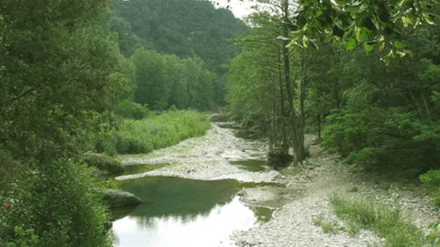 Photo de Saint-Paul-la-Coste