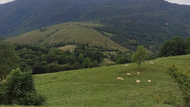Photo de Moncaup