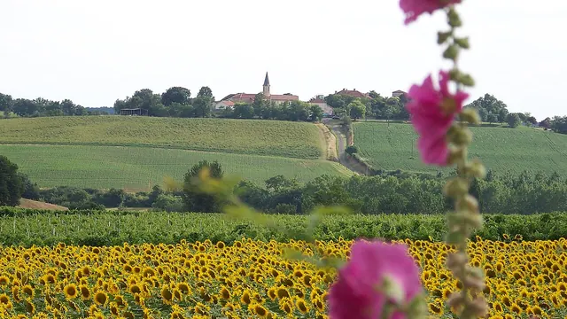 Photo de Lagraulet-du-Gers