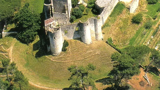 Photo de Arbis