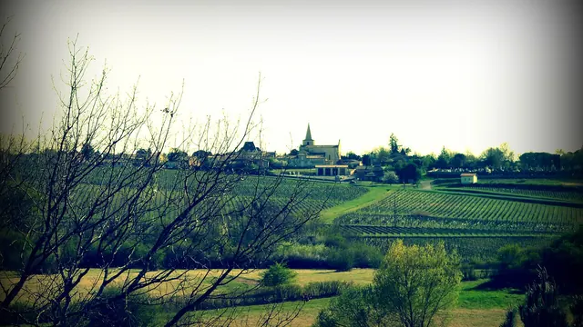 Photo de Berson