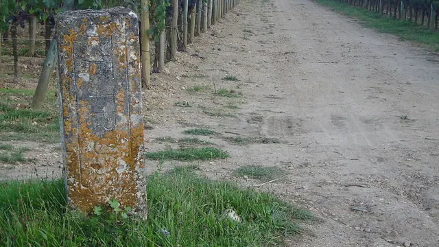 Photo de Pomerol