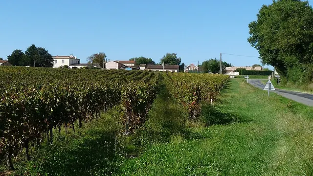 Photo de Saint-Ciers-de-Canesse