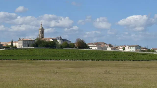 Photo de Saint-Estèphe