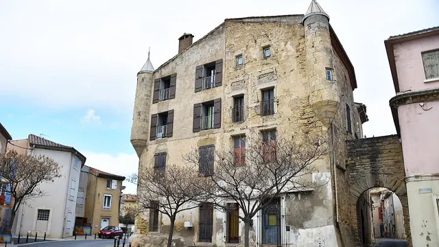 Photo de Bassan