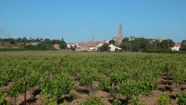 Photo de Maraussan
