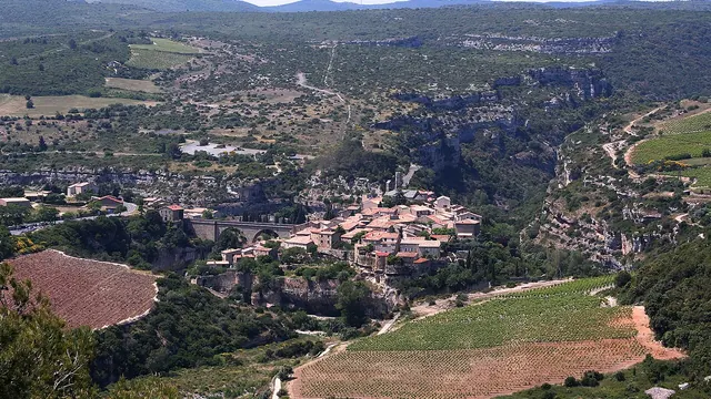 Photo de Minerve