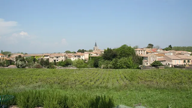 Photo de Nizas