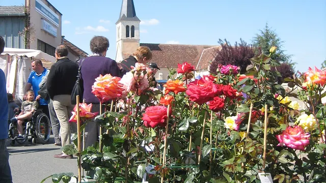 Photo de Mers-sur-Indre