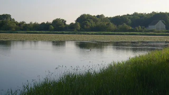 Photo de Saint-Michel-en-Brenne
