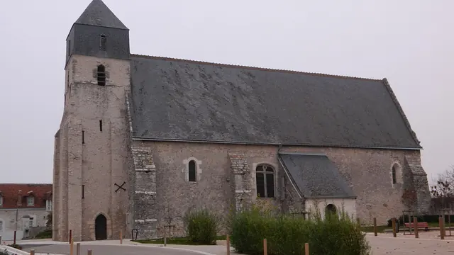 Photo de Cigogné