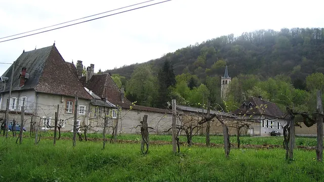 Photo de Pressins