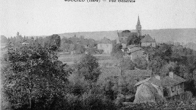 Photo de Succieu
