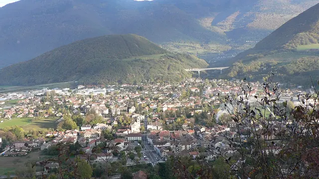 Photo de Vif