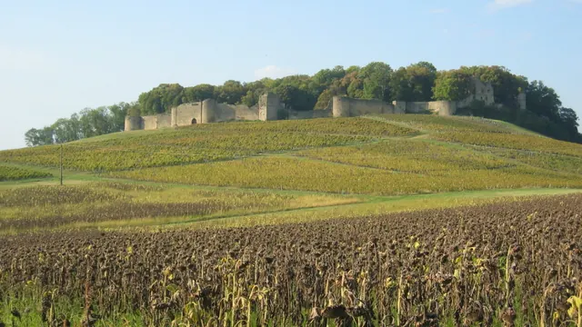 Photo de Arlay