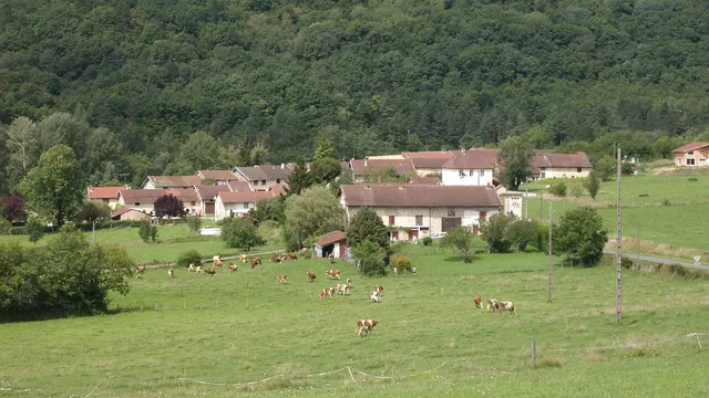 Photo de Broissia