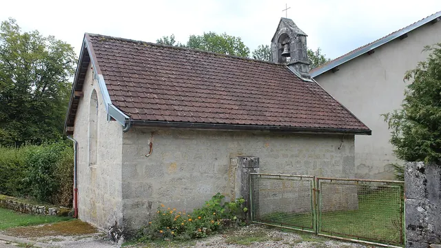 Photo de Chevrotaine