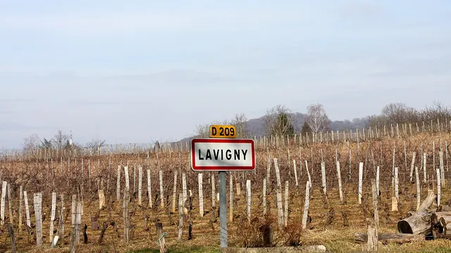 Photo de Lavigny