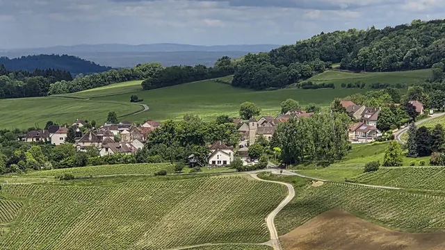 Photo de Menétru-le-Vignoble