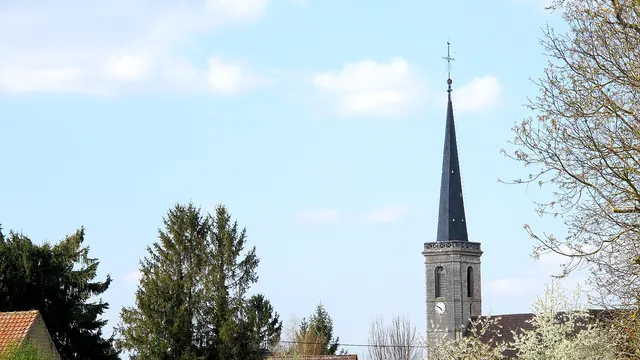 Photo de Petit-Noir