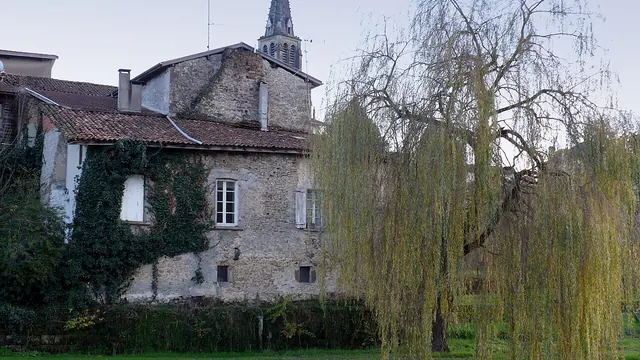 Photo de Tartas