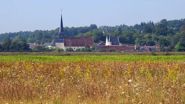 Photo de Angé