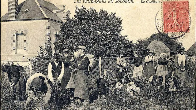 Photo de Cour-Cheverny