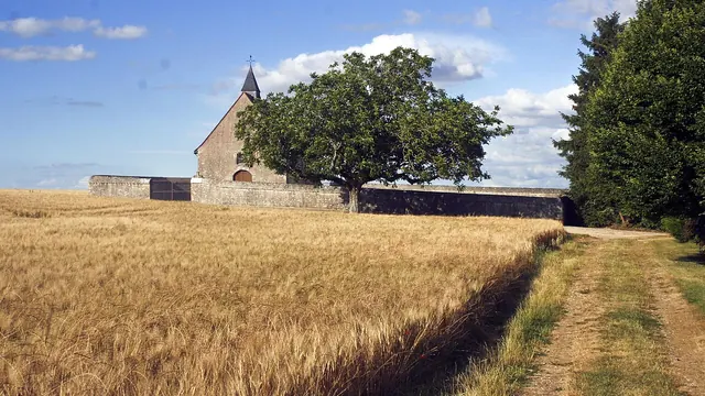 Photo de La Madeleine-Villefrouin