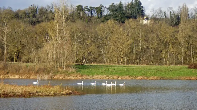 Photo de Saint-Julien-de-Chédon