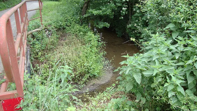 Photo de Civens