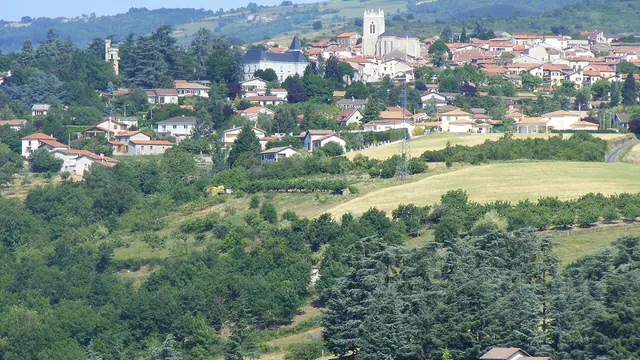 Photo de Saint-Martin-la-Plaine